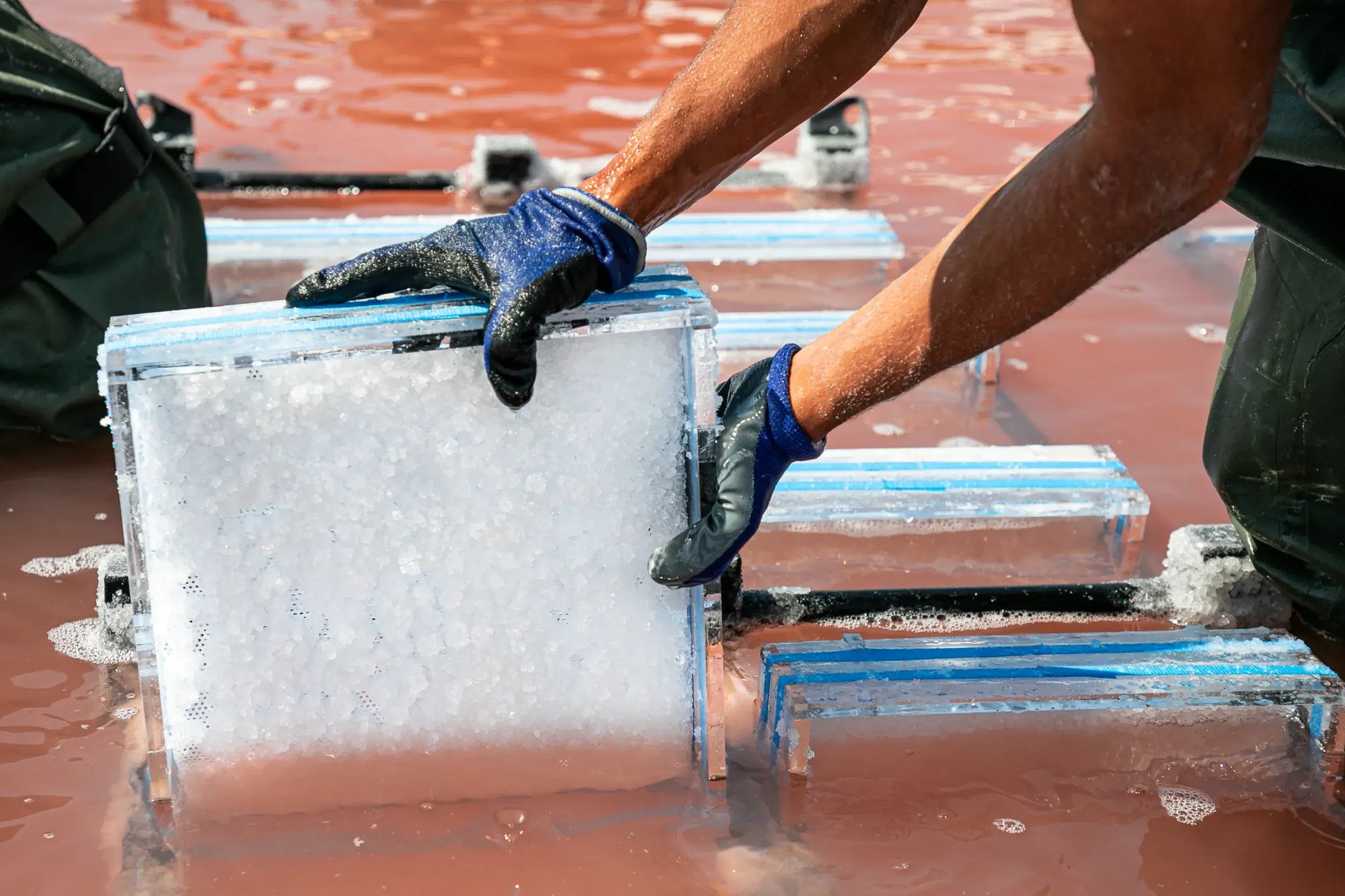 200729-LUMA-ATELIERLUMA-SALINSDGIRAUD-ADRIANDEWEERDT-85 - Large