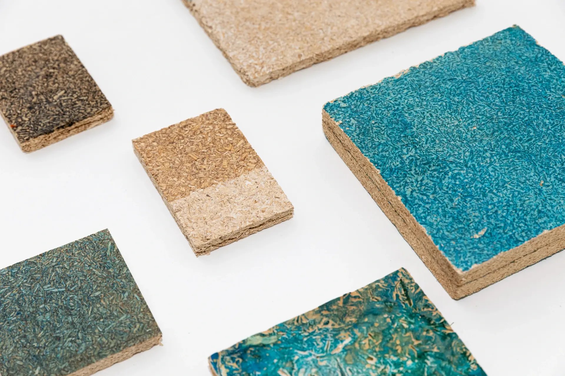 211019-MYCELLIUM-ADRIANDEWEERDT-92