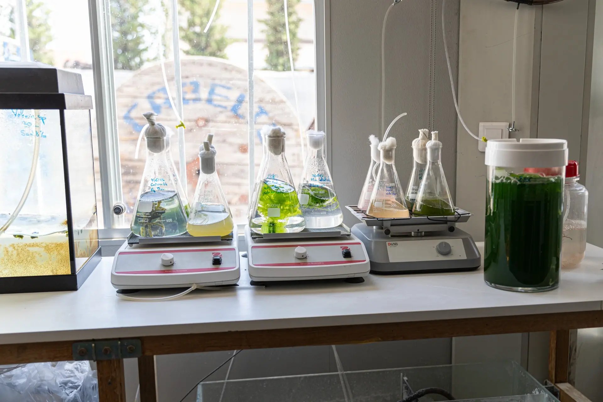 230615-LUMA-LABOALGUES-ADRIANDEWEERDT-25