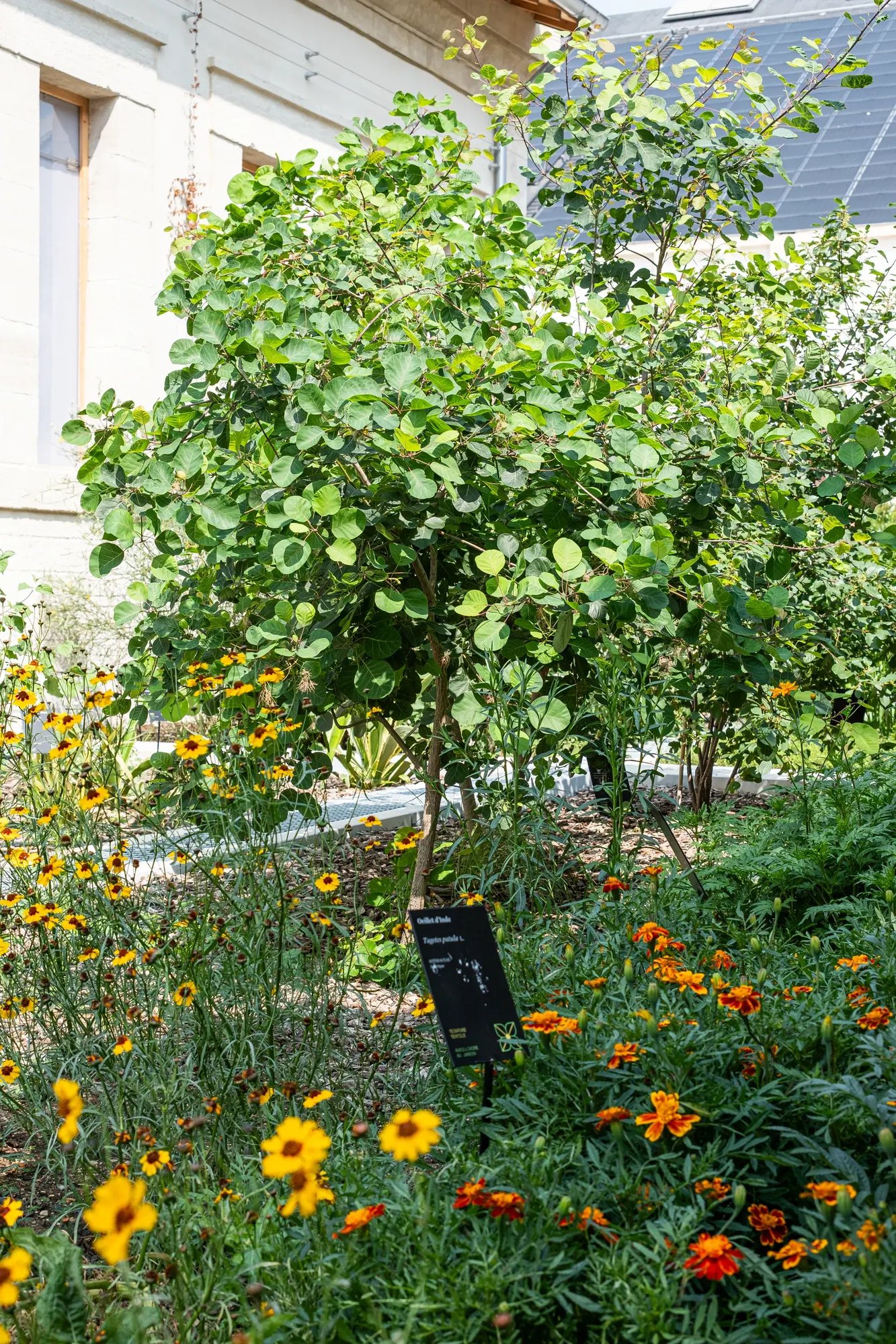 250610-LUMA-ATELIERLUMA-JARDIN-ADRIANDEWEERDT-20 - Large