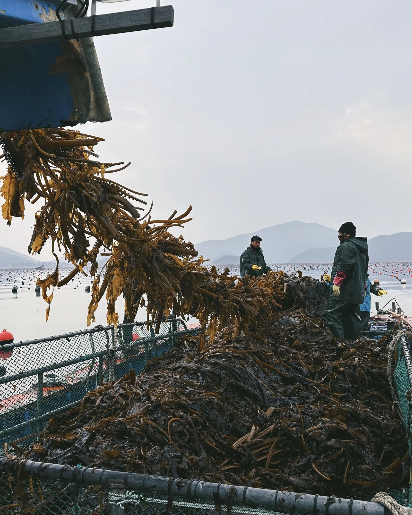 BIENNALEDEGWANGJU_ECOHANOK_(C)BARE