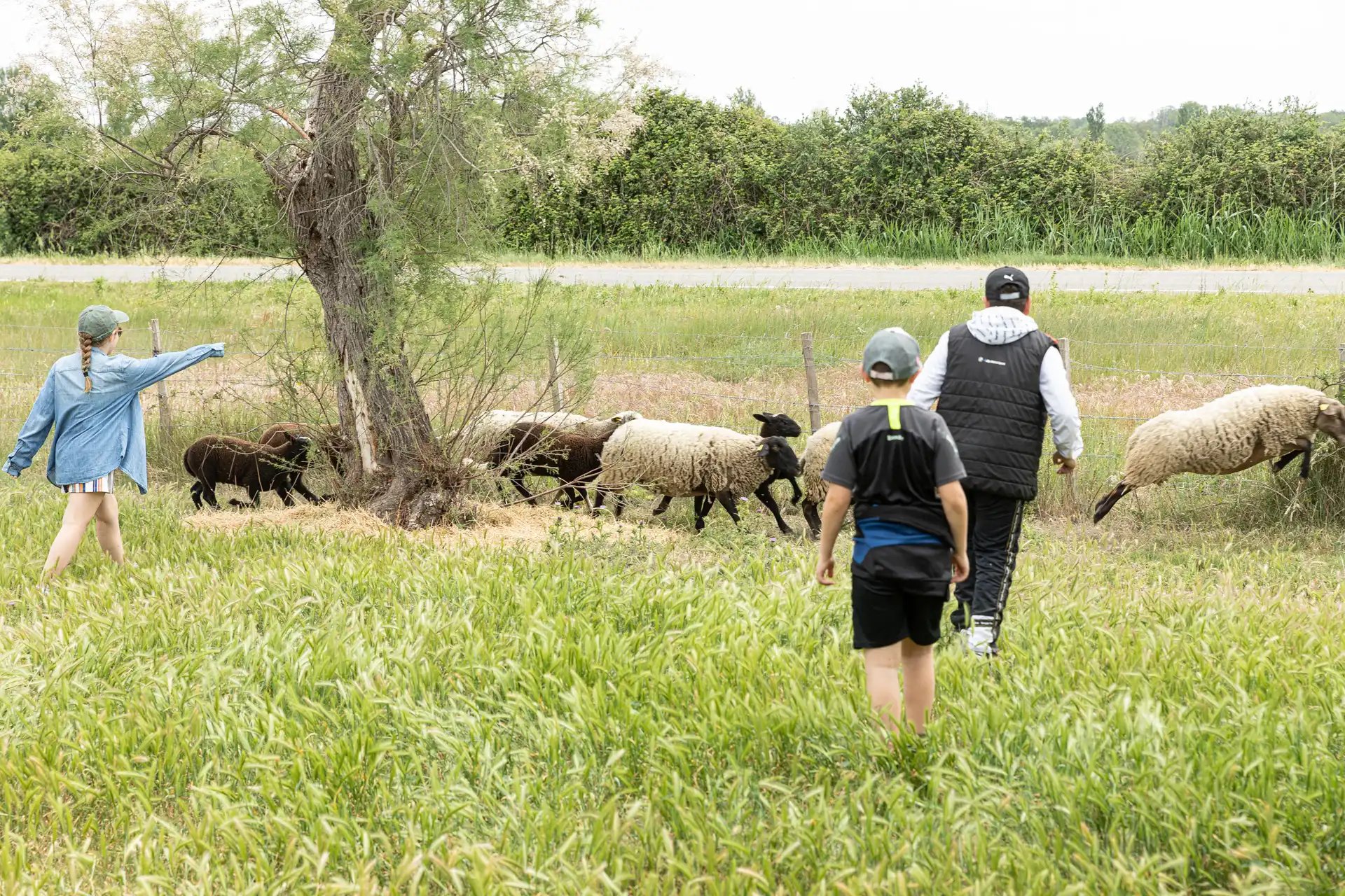 230509-LUMA-PROGRAMMEPEDAGOGIQUE-CHASSAGNETTE-ADRIANDEWEERDT-60