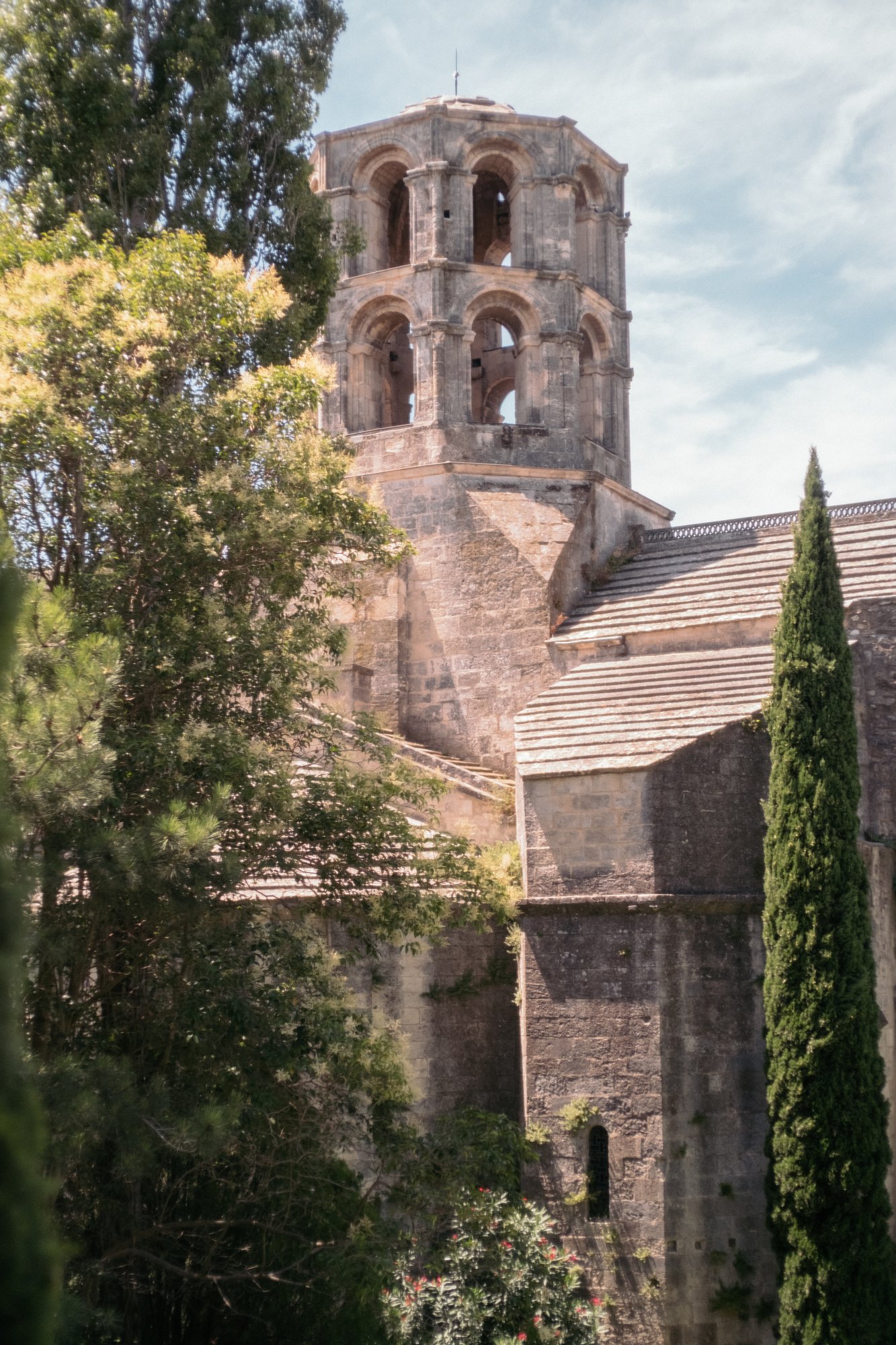 2017-07-07_DIVERSE-4855 2017-07-07_DIVERSE-4855