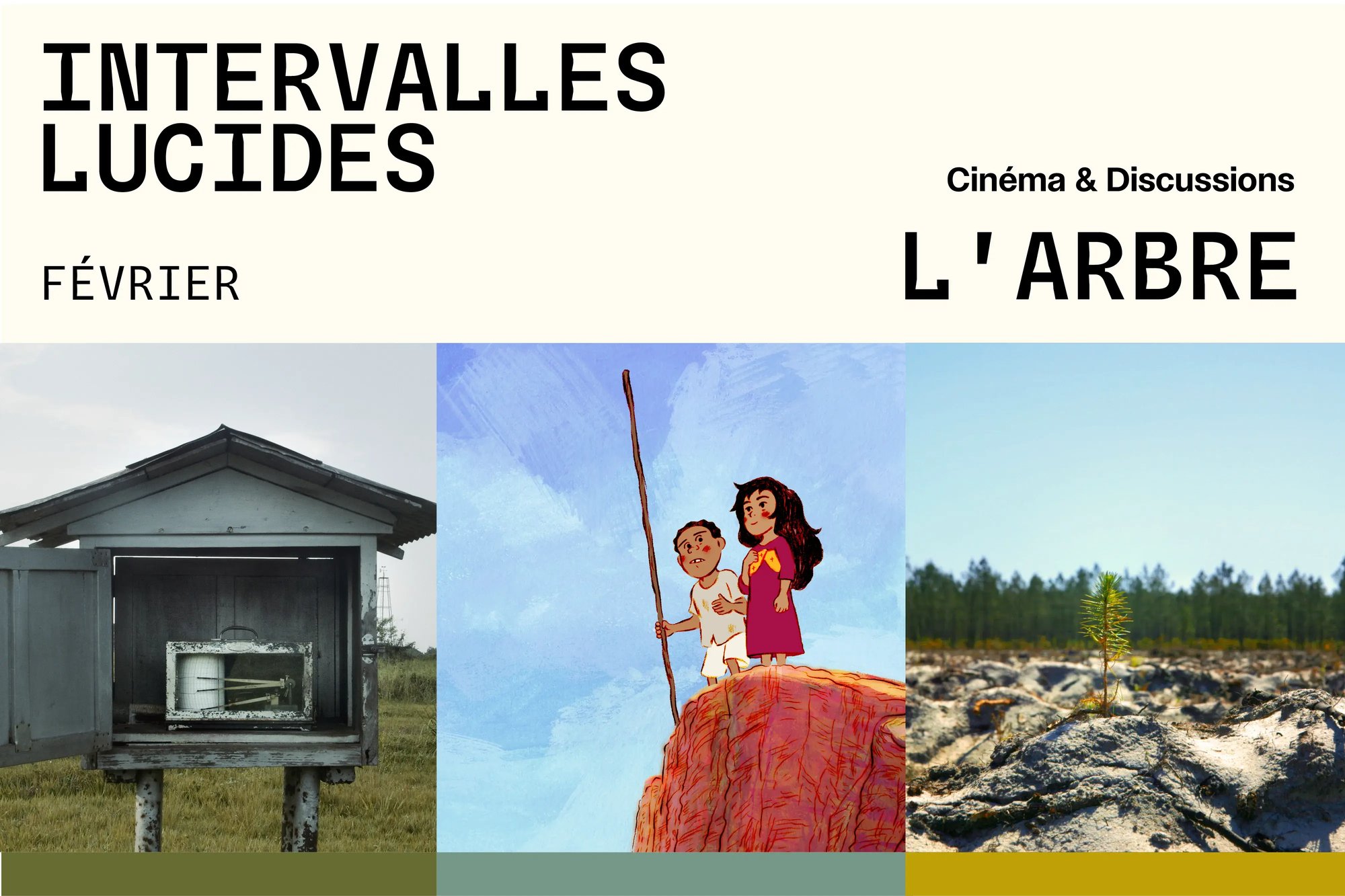 260114_ILU2526_LARBRE_MLR_01