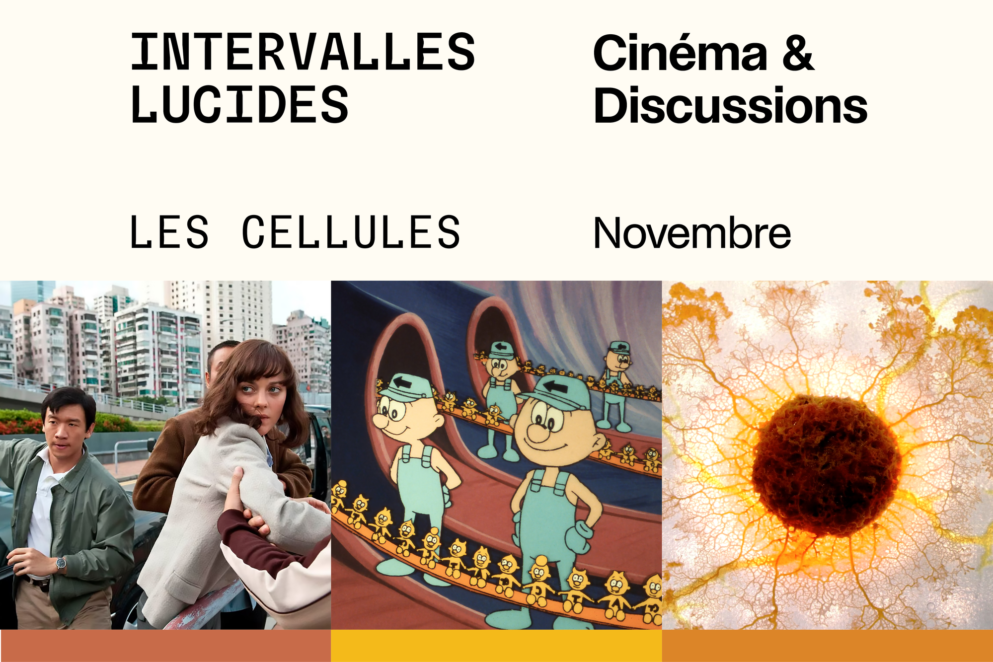 261015_ILU2627_NOV_LES-CELLULES_ASSETS_CD_02