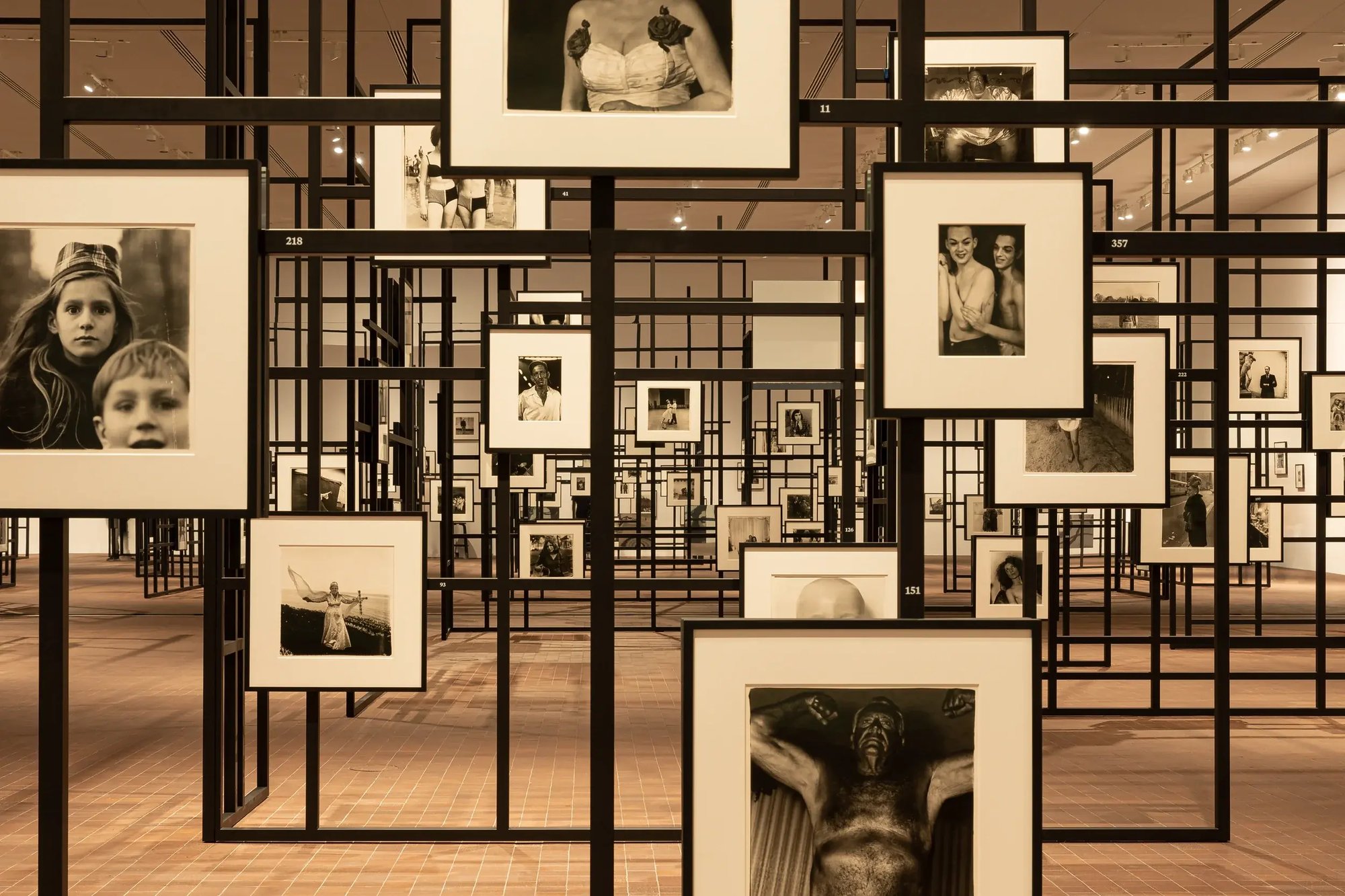 230614-LUMA-ARBUS-ADRIANDEWEERDT-2