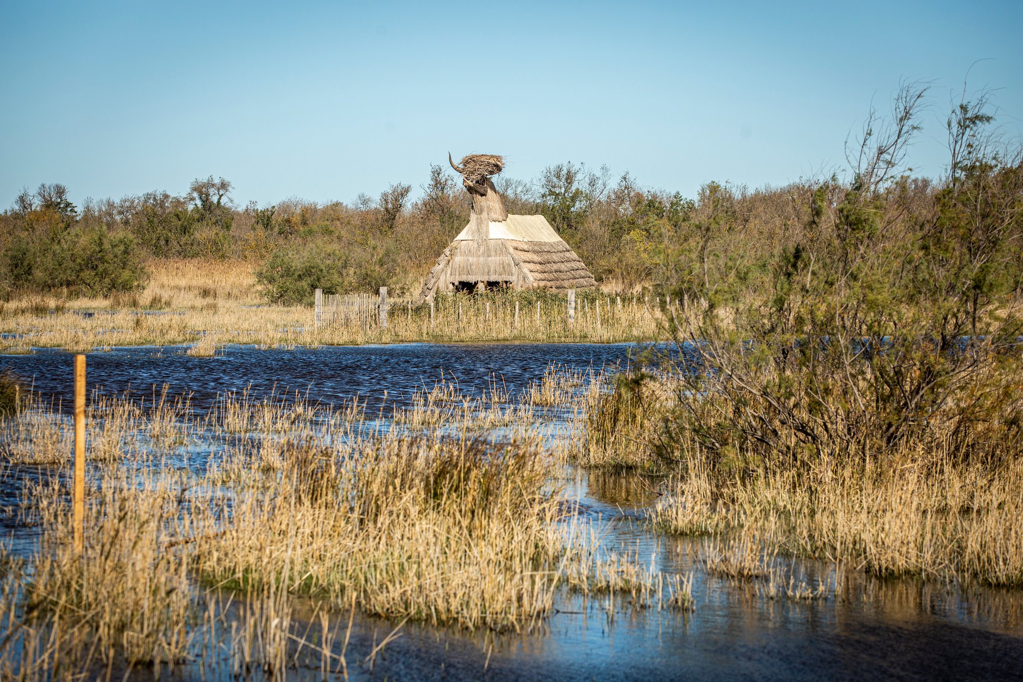 JOANA LUZ_20191112_ATELIER LUMA_MARAIS DU VIGUERAT_UZ_3521Joana Luz JOANA LUZ_20191112_ATELIER LUMA_MARAIS DU VIGUERAT_UZ_3521Joana Luz