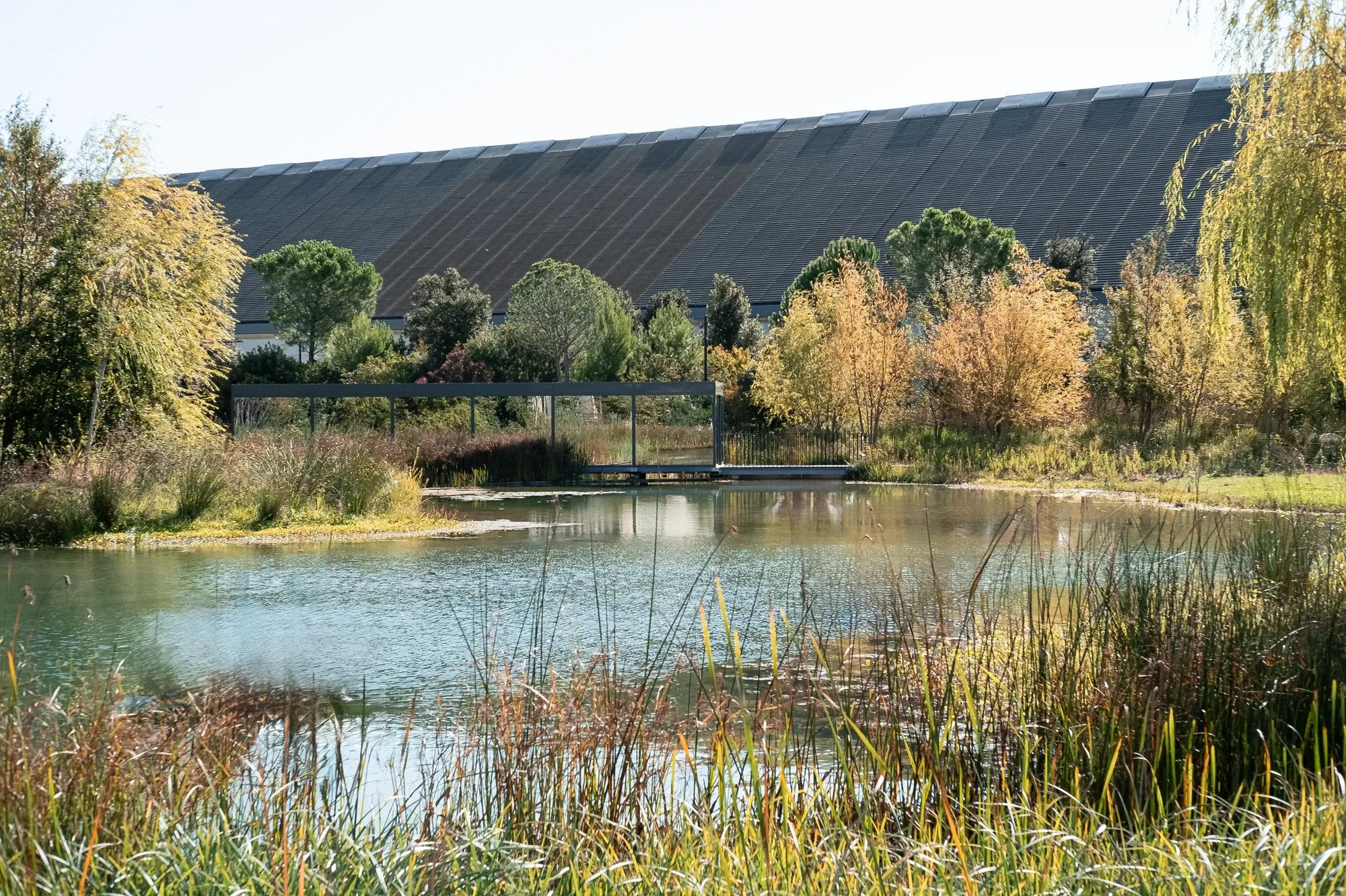 241011-LUMA-PPAYSAGER-ADRIANDEWEERDT-17-Modifier - Large 241011-LUMA-PPAYSAGER-ADRIANDEWEERDT-17-Modifier - Large