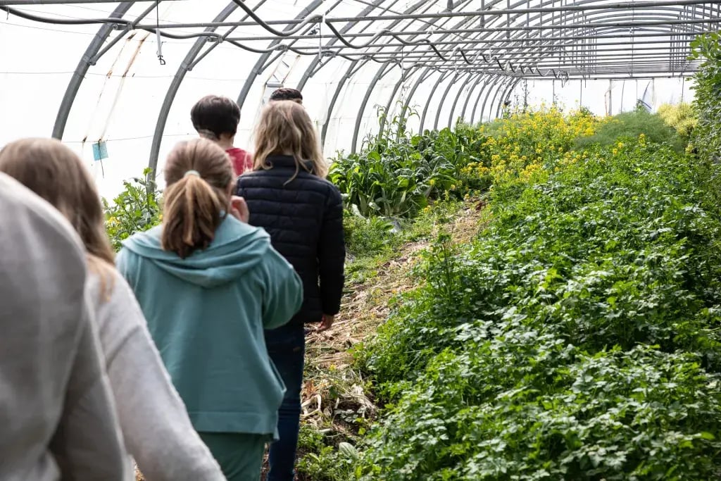 Où est ta place dans la nature