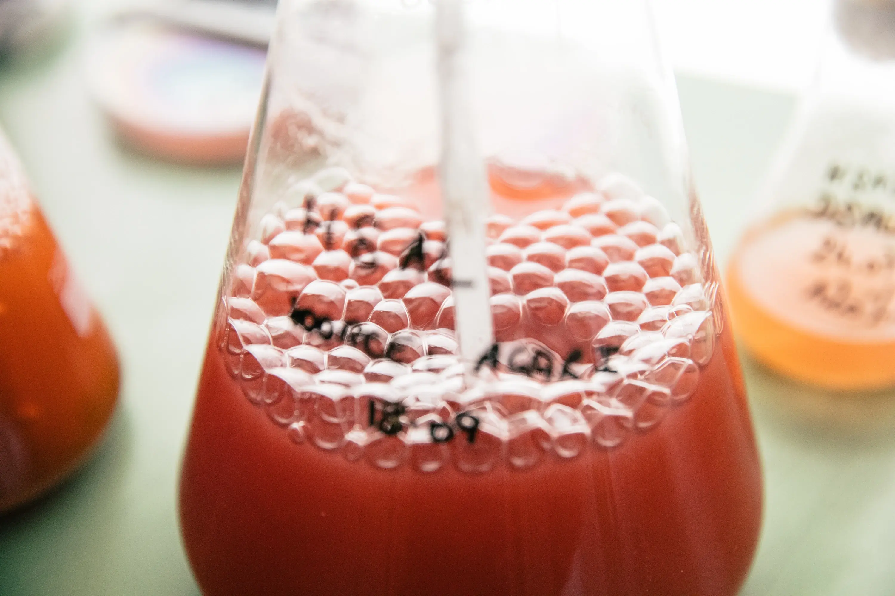 20181023_ATELIER LUMA_ATELIER-5675