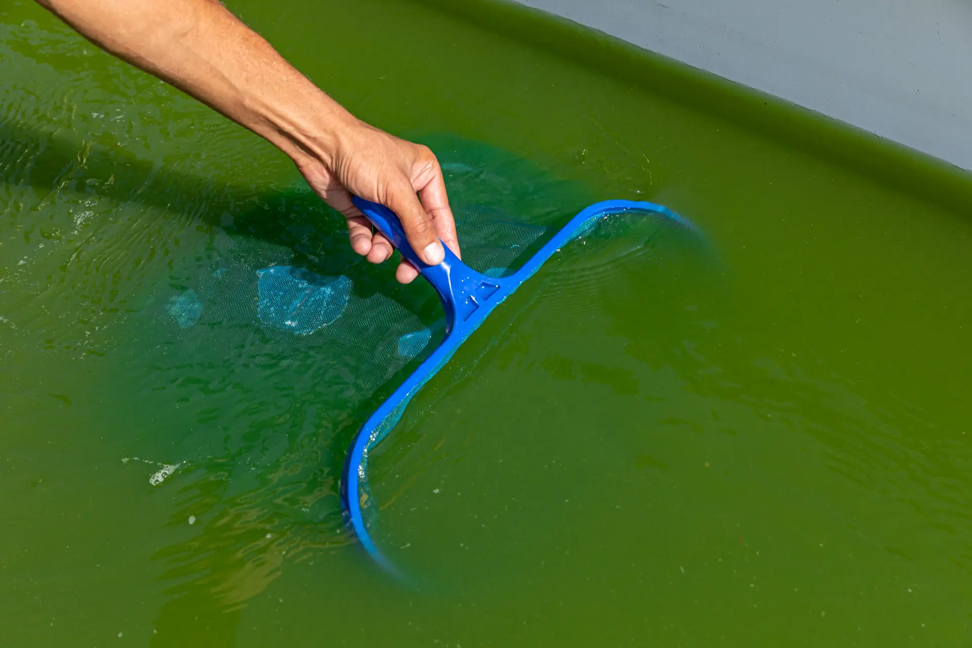 210901-ATELIERLUMA-BASSINPILOTE-ADRIANDEWEERDT-05