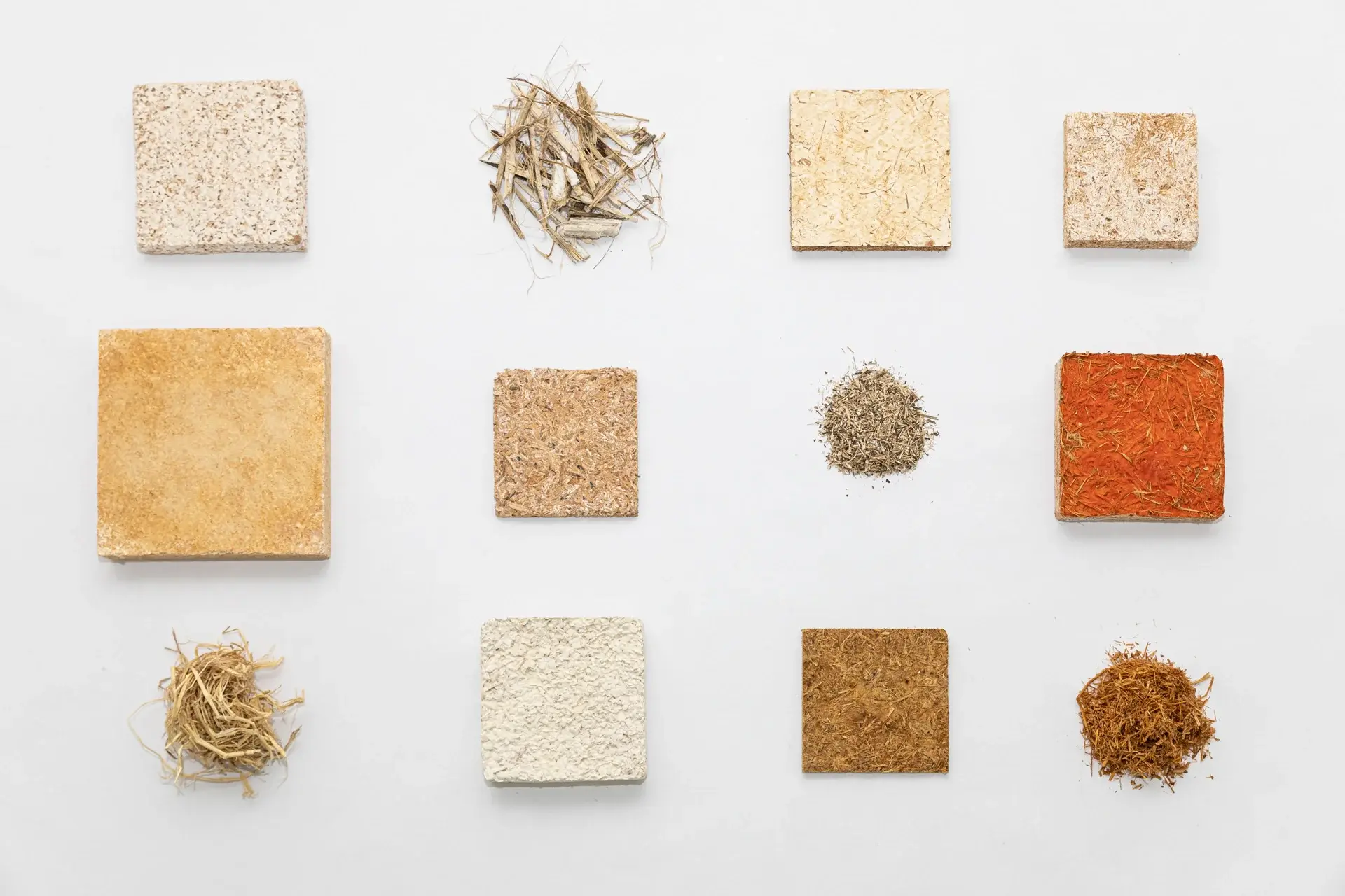 211019-LUMA-ATELIERLUMA-MYCELLIUM-ADRIANDEWEERDT-54 - Large