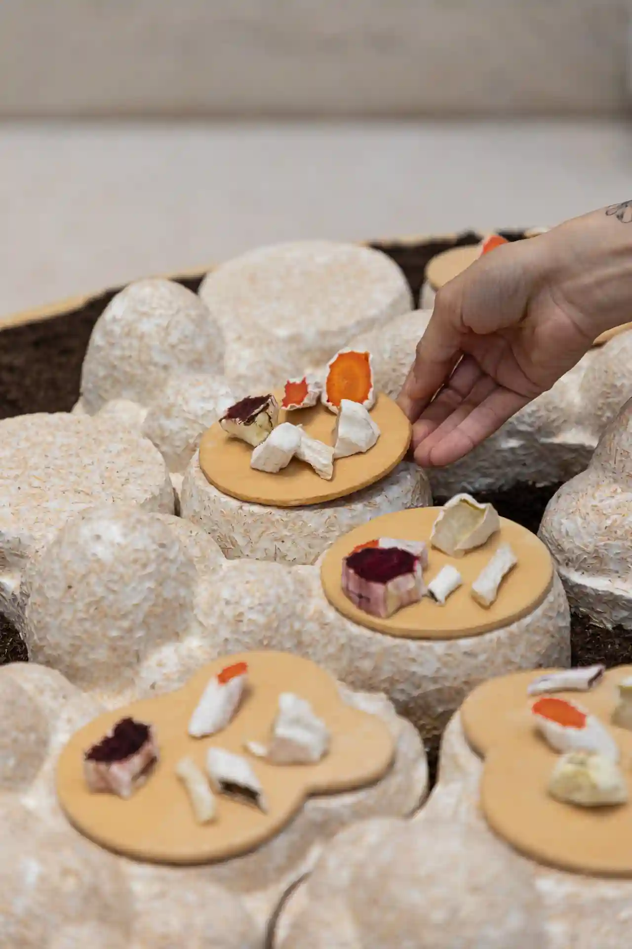 240524-LUMA-AL-FUNGAL-ADRIANDEWEERDT-12