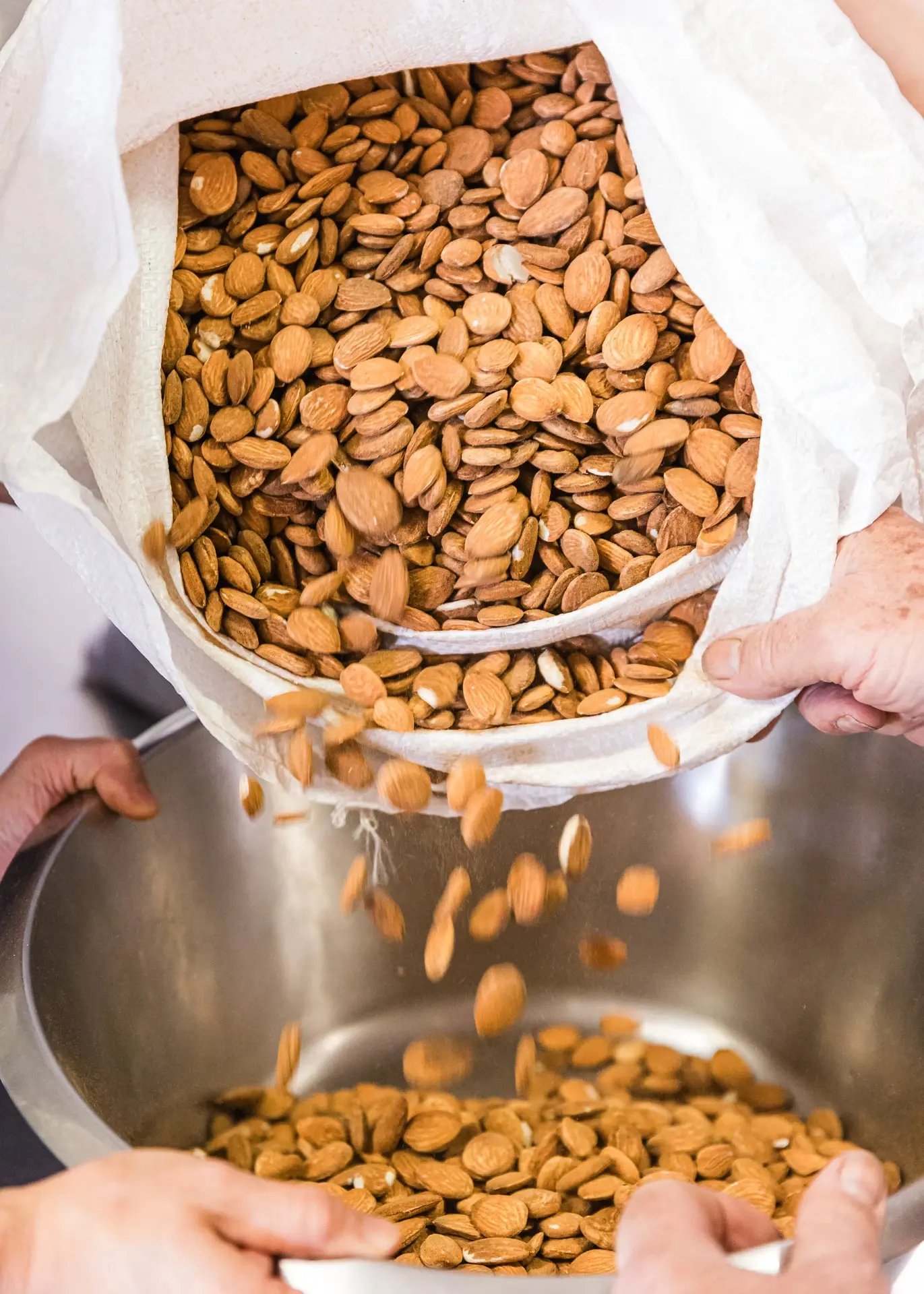 221025-LMA-SOURCING-BIOMOMO-ADRIANDEWEERDT-100