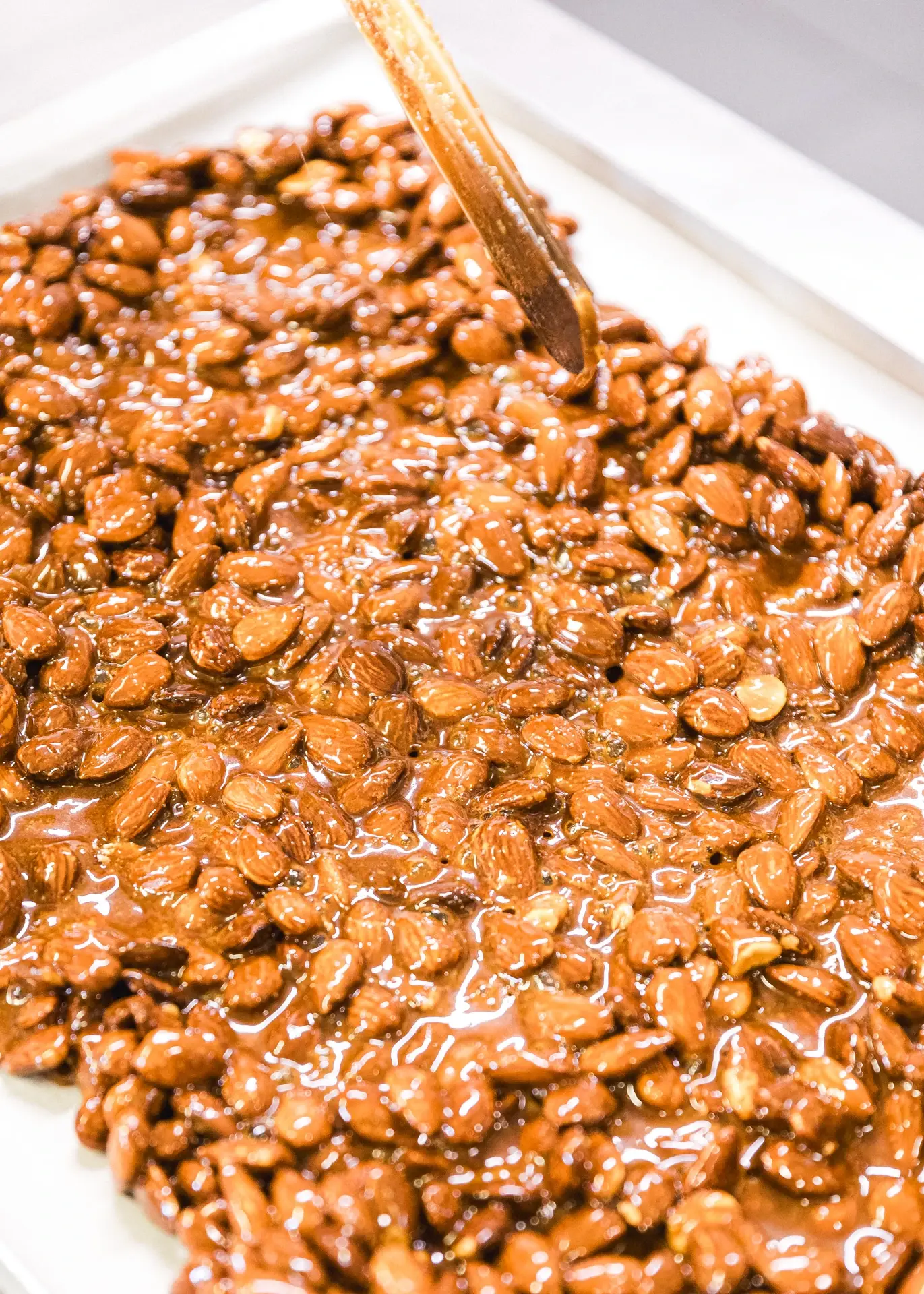 221025-LMA-SOURCING-BIOMOMO-ADRIANDEWEERDT-68