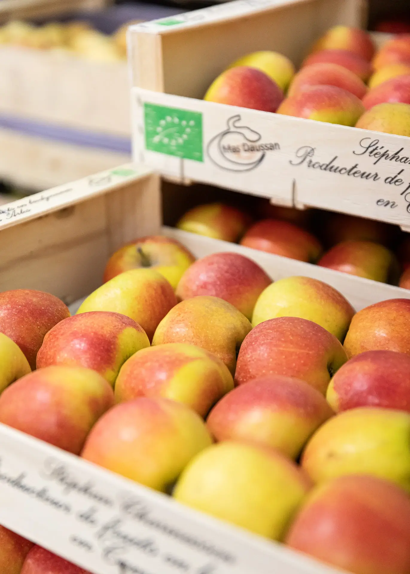 230116-LMA-MASDAUSSAN-ADRIANDEWEERDT-27