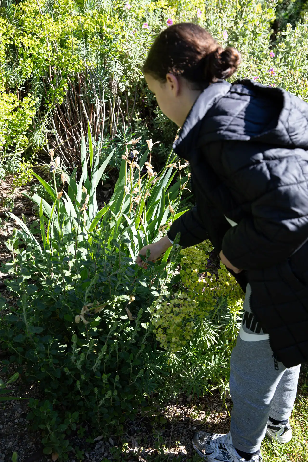 240418-LUMA-MEDIATION-PLACENATURE-ADRIANDEWEERDT-27 (1)