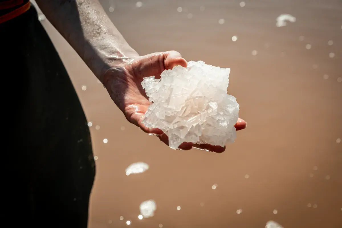 190829-LUMA-ATELIERLUMA-SALT-JOANALUZ-1 - Medium