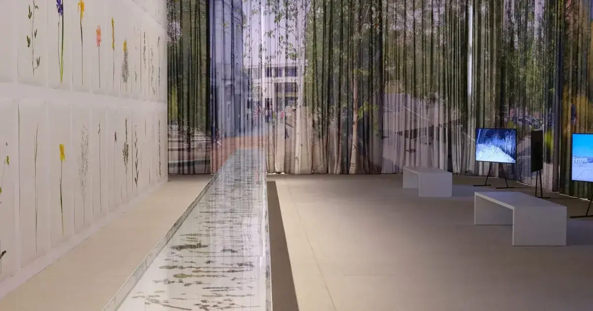 20250703_LUMA_BAS_SMETS_VICTOR&SIMON_GRÉGOIRE_DABLON_10 - Medium-1 20250703_LUMA_BAS_SMETS_VICTOR&SIMON_GRÉGOIRE_DABLON_10 - Medium-1