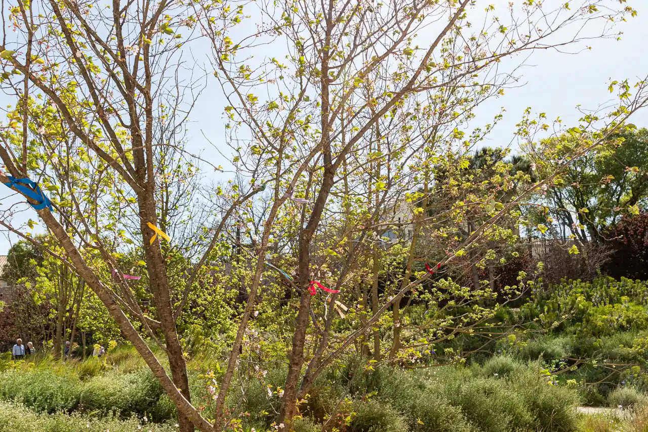 240405-LUMA-CERISIER-ADRIANDEWEERDT-5