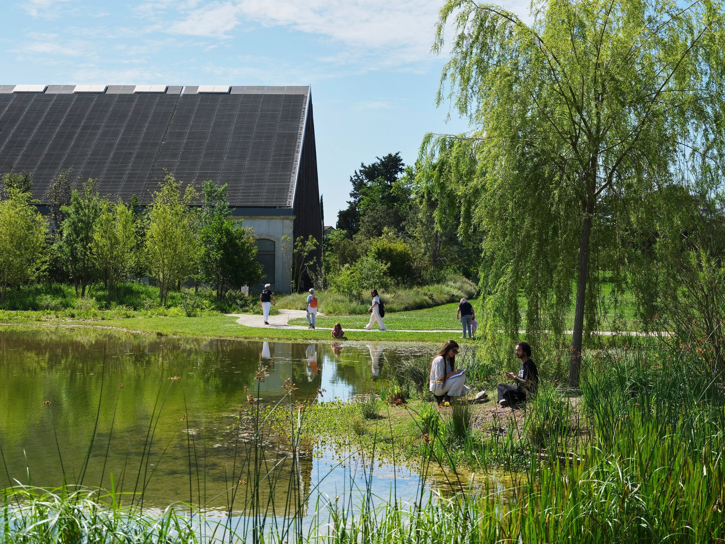 240525-LUMA-HISTOIREENVIRONNEMENTALE-VICTOR&SIMON-GRÉGOIREDABLON-28 - Large-1