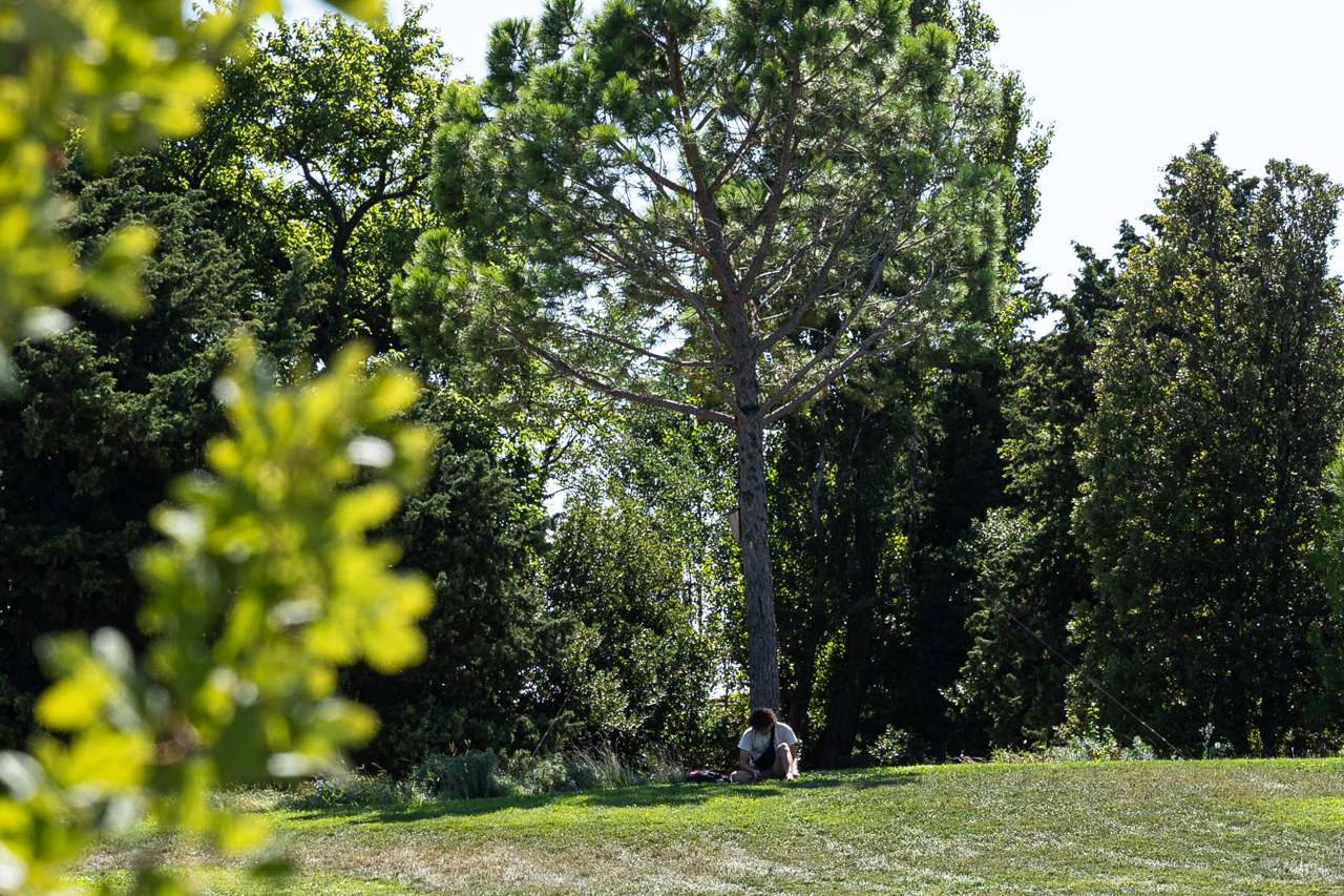 240822-LUMA-VISITEURS-ADRIANDEWEERDT-20 240822-LUMA-VISITEURS-ADRIANDEWEERDT-20