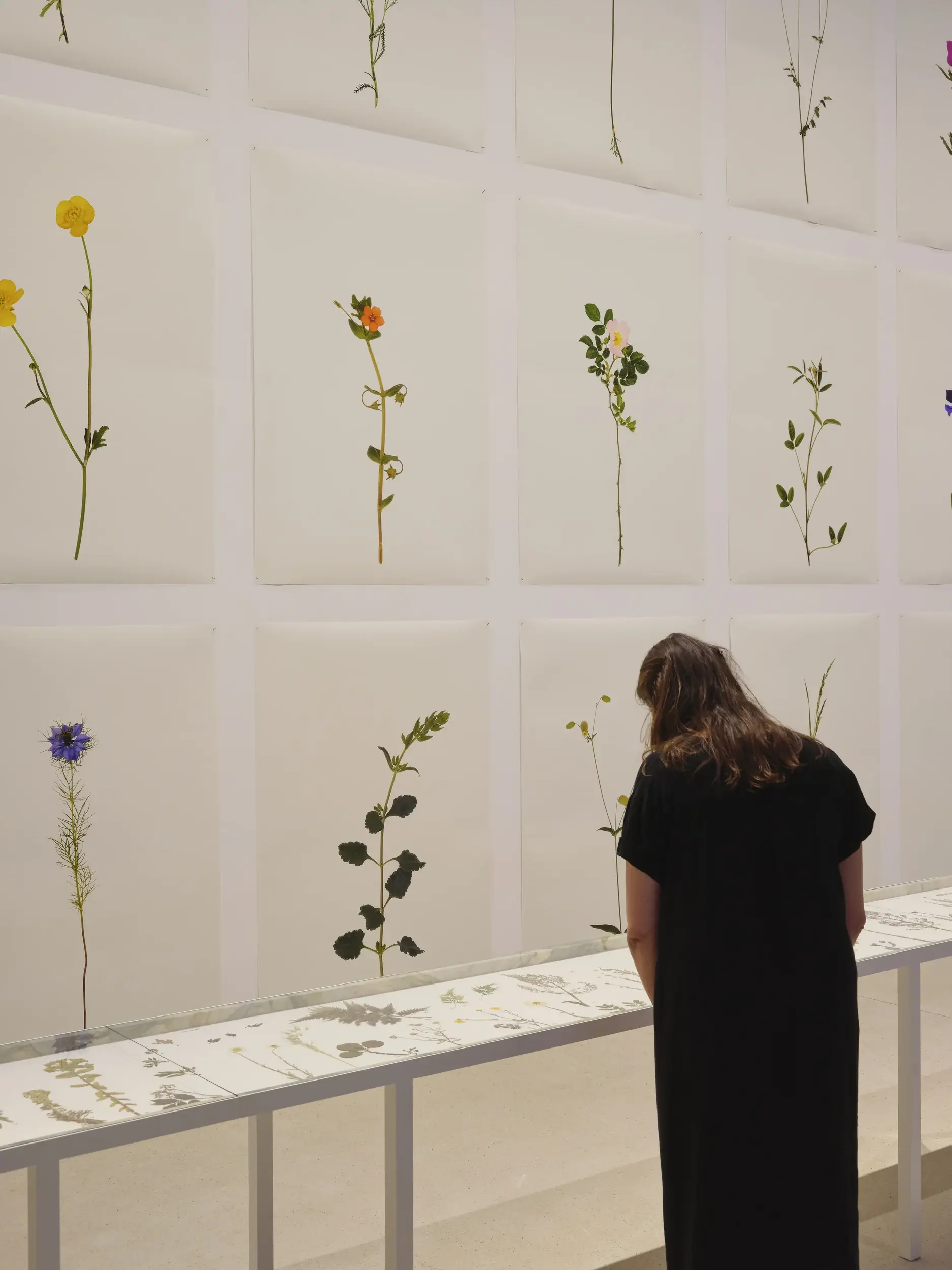 20250703_LUMA_BAS_SMETS_VICTOR&SIMON_GRÉGOIRE_DABLON_89