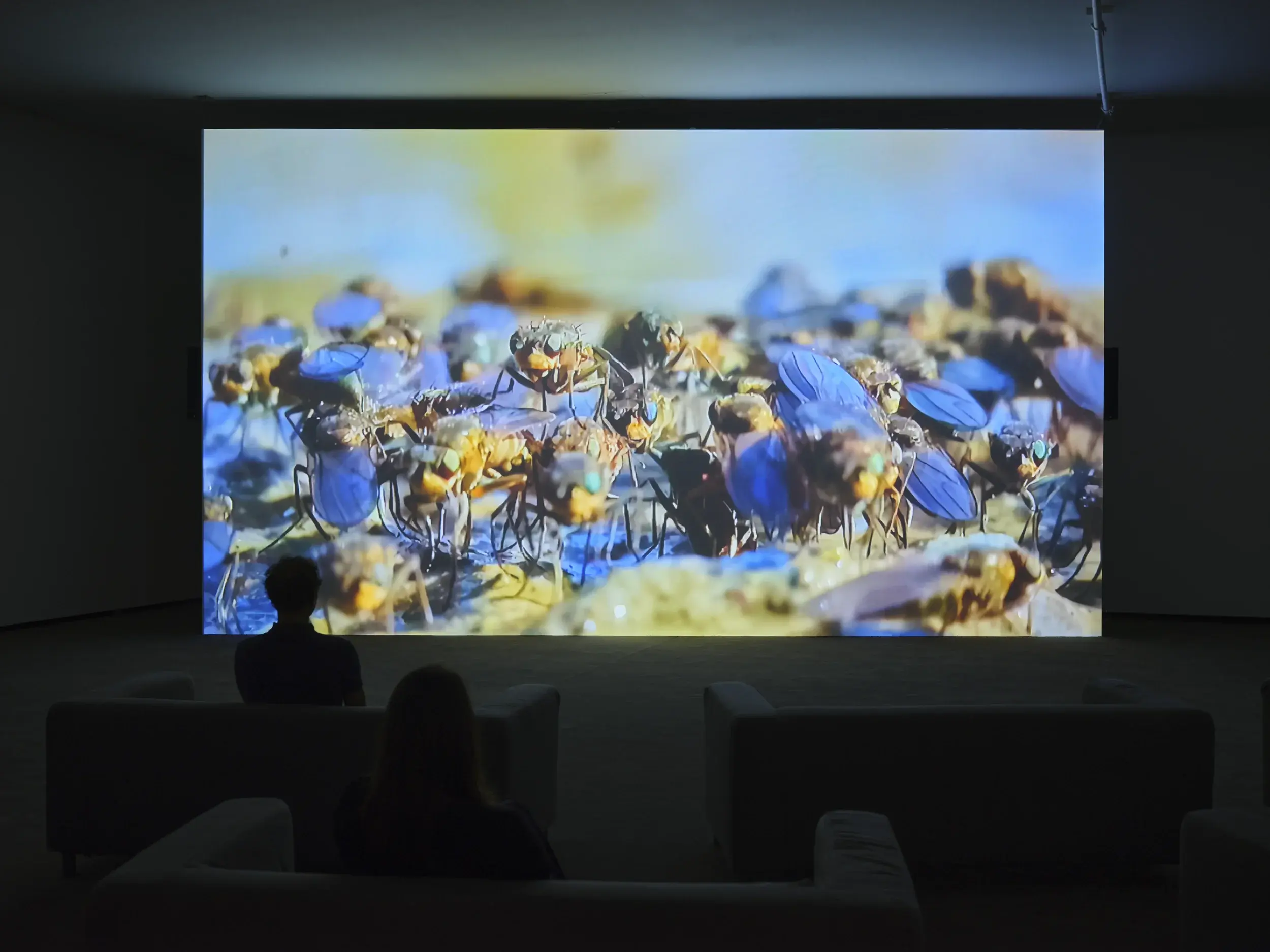260430_LUMA_VERENA_PARAVEL_VICTOR&SIMON_GRÉGOIRE_DABLON_04