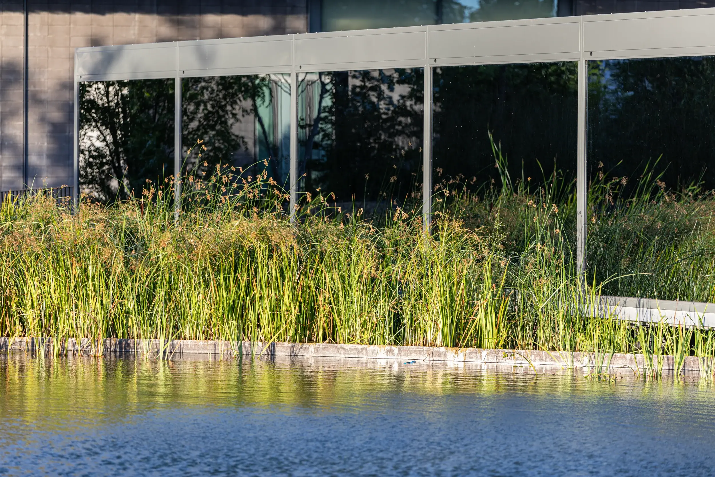 220706-LUMA-PPAYSAGER-ADRIANDEWEERDT-17