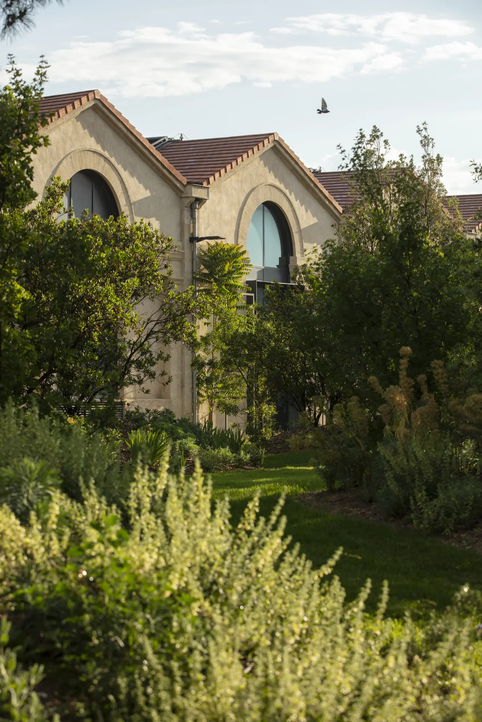 210531-LUMA-PARCPAYSAGER-REMIBENALI-050