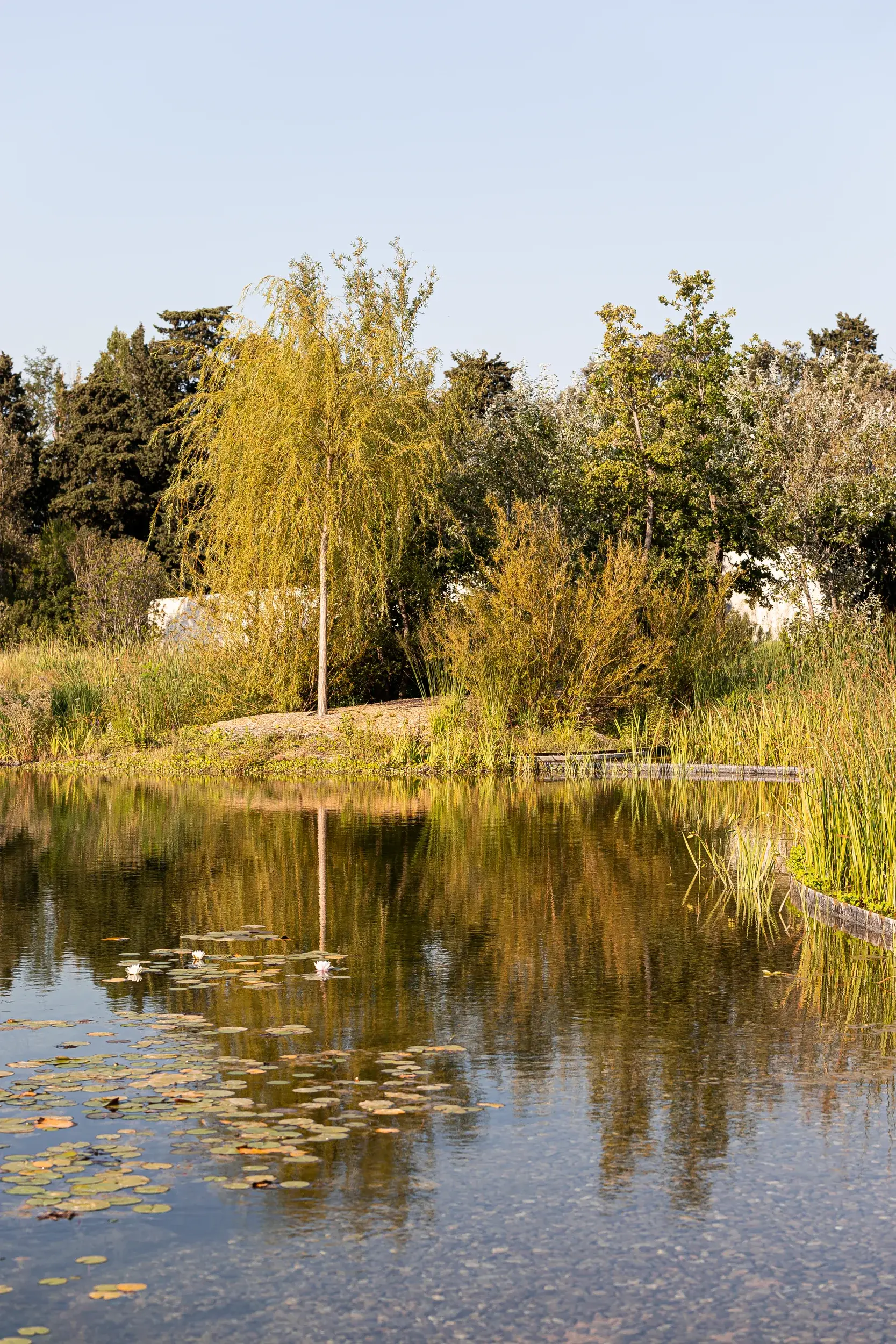 220718-LUMA-PPAYSAGER-ADRIANDEWEERDT-33