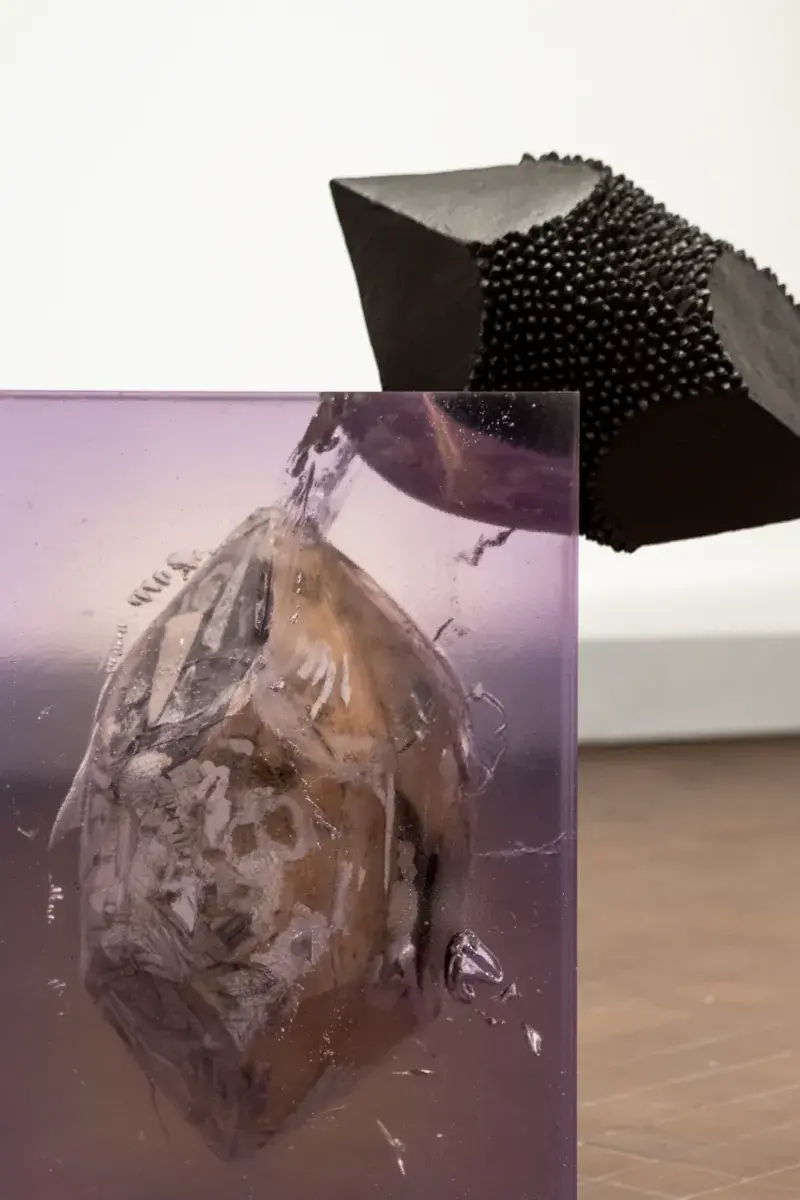 240626-LUMA-ERIKAVERZUTTI-VICTOR&SIMON-JOANA LUZ-04 - Medium