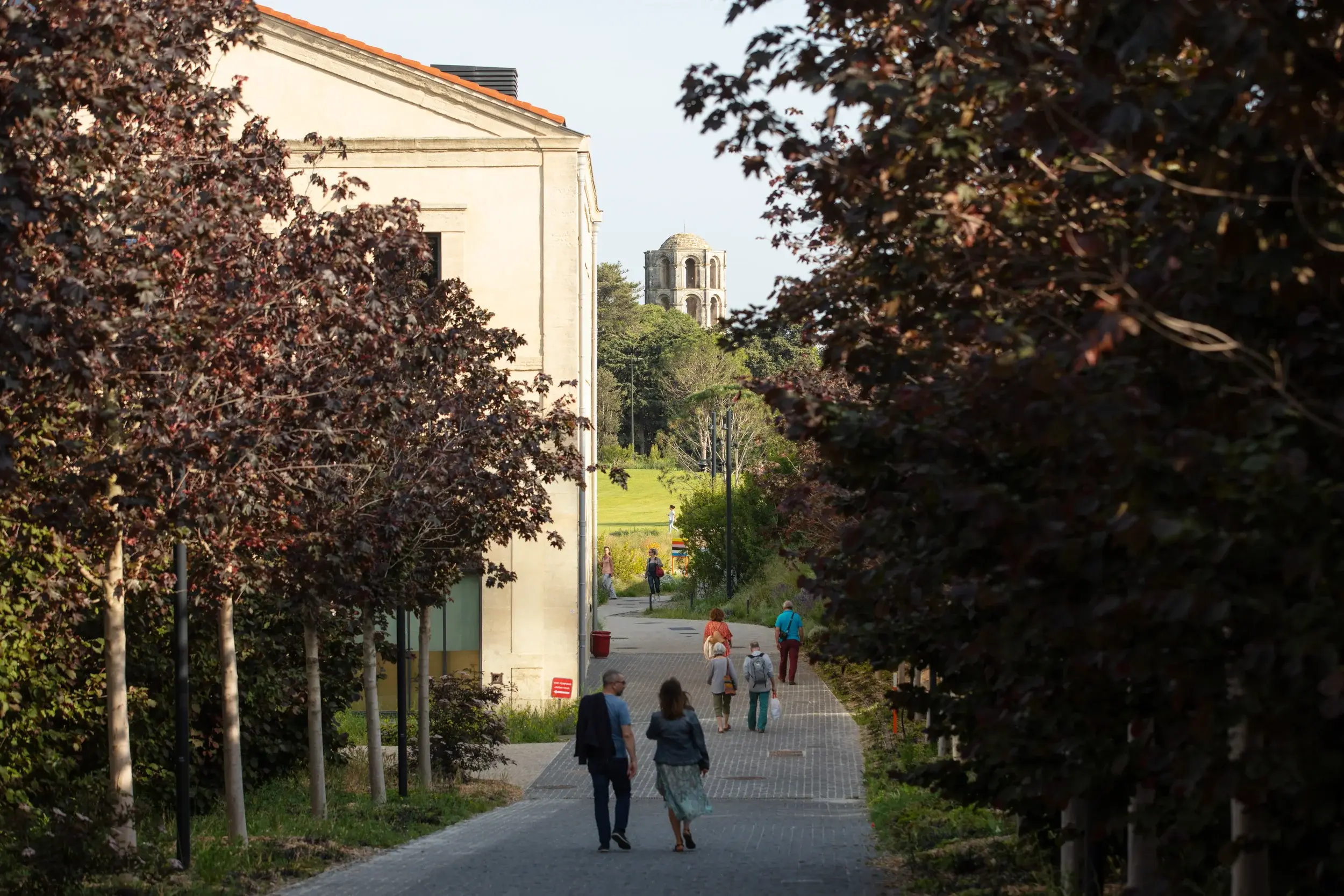 220522-LUMA-PARCPAYSAGER-REMIBENALI-014 - Large-1