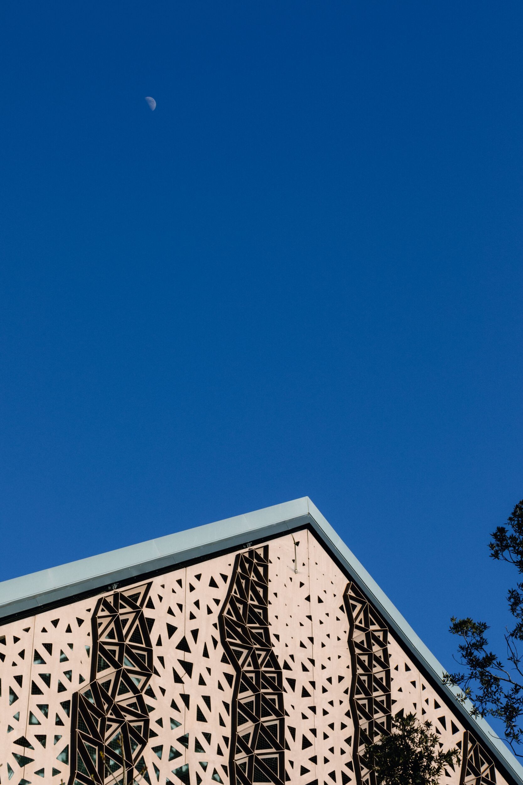 250205-LUMA-GH-ADRIANDEWEERDT-5 - Large